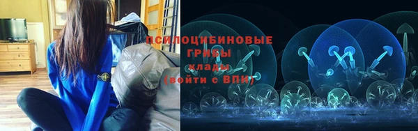 винт Богданович
