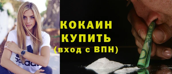 винт Богданович