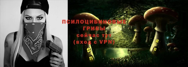 ALPHA PVP Богородск