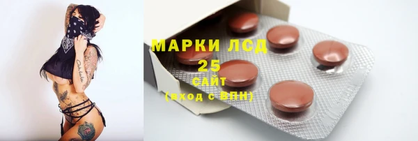 винт Богданович