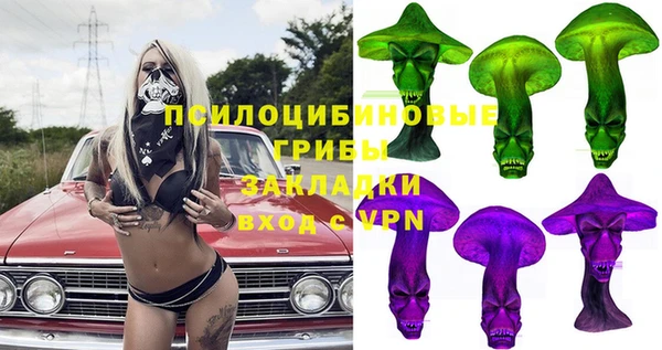 винт Богданович
