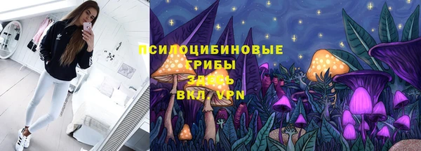 марки lsd Богородицк