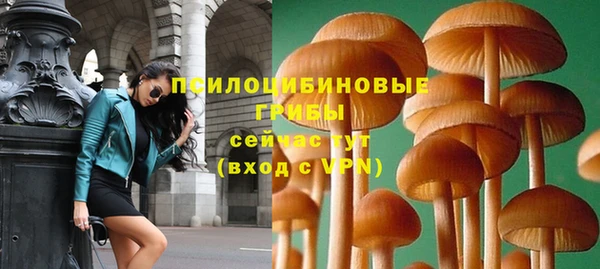 винт Богданович