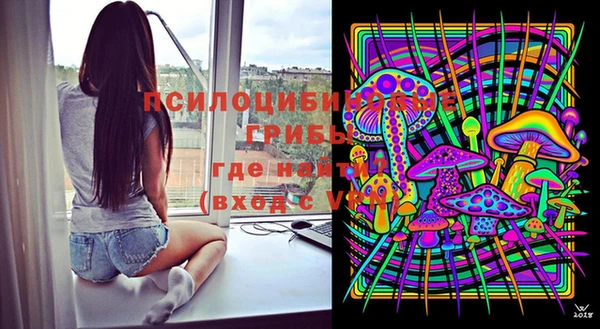 винт Богданович