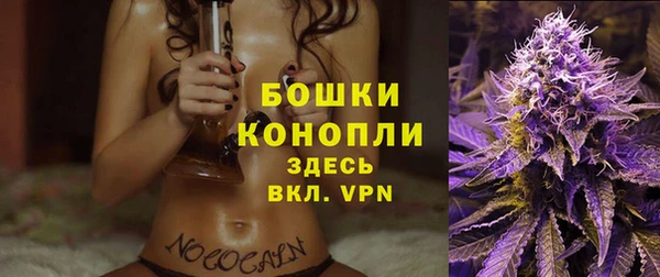винт Богданович